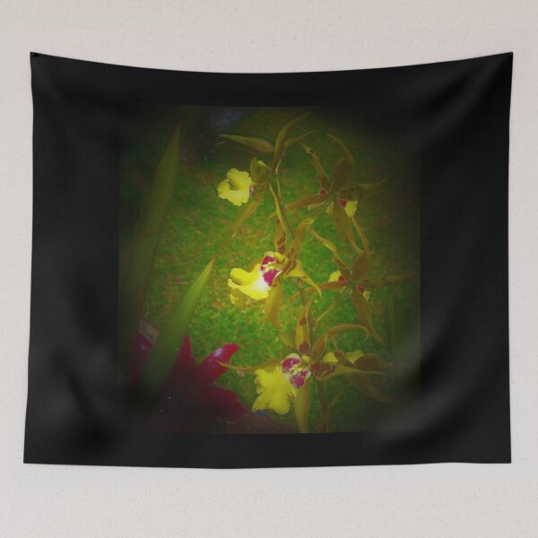 Item preview, Fauna de la selva tropical de Hilo designed and sold by Twisted-Pixels.