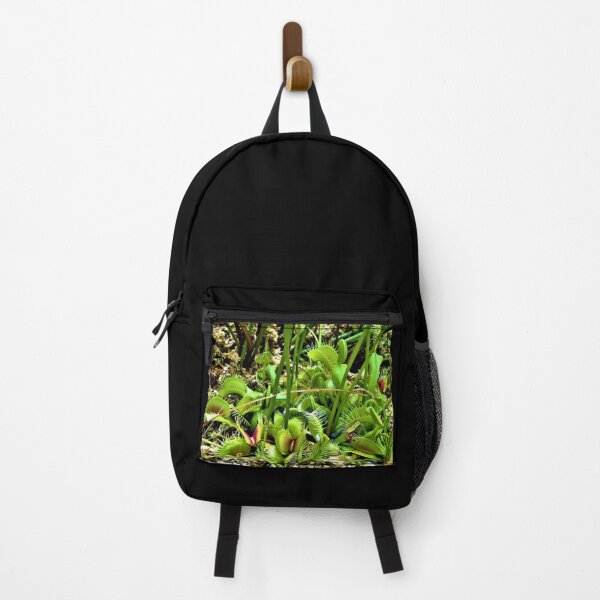 Item preview, Hilo Rainforest Fauna designed and sold by Twisted-Pixels.