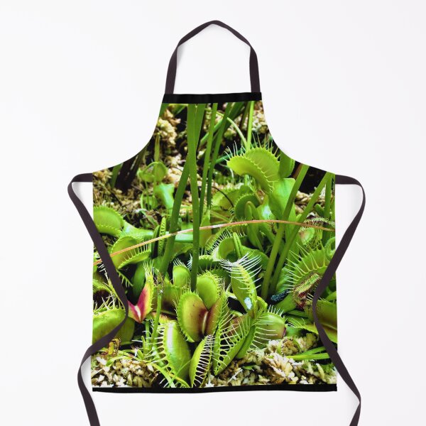 Item preview, Hilo Rainforest Fauna designed and sold by Twisted-Pixels.