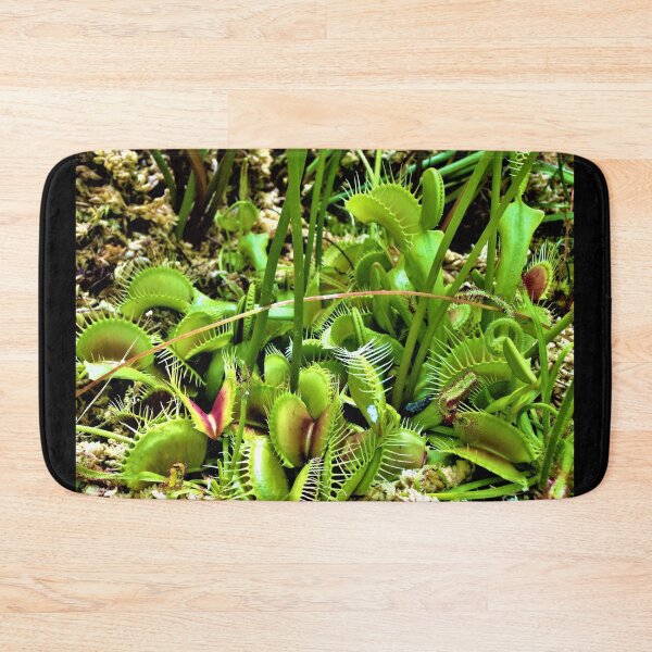 Item preview, Hilo Rainforest Fauna designed and sold by Twisted-Pixels.