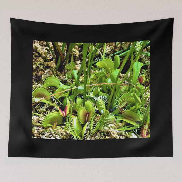 Item preview, Hilo Rainforest Fauna designed and sold by Twisted-Pixels.