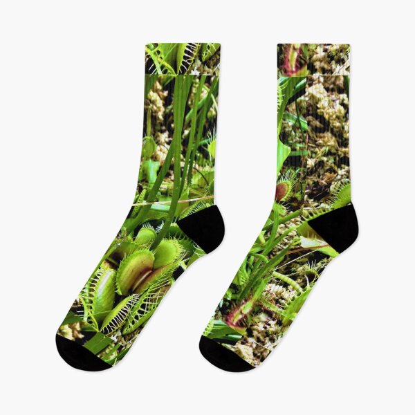 Item preview, Hilo Rainforest Fauna designed and sold by Twisted-Pixels.
