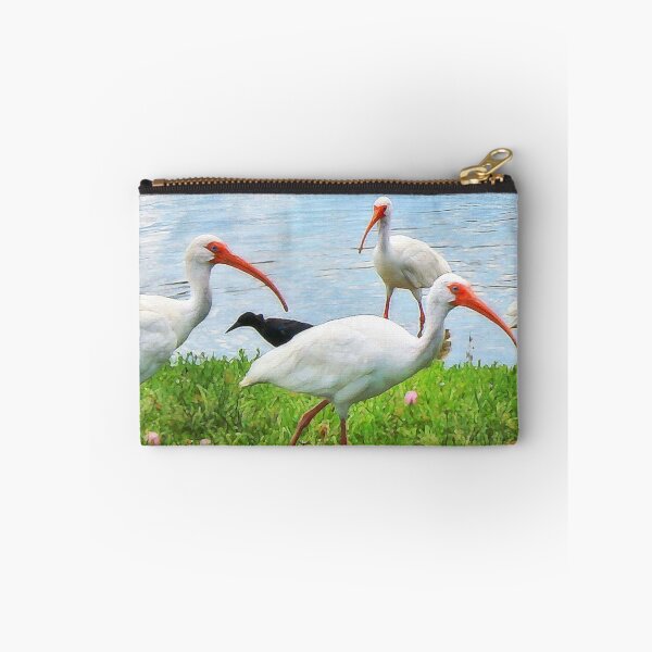 Item preview, Paranoia in the Bird World designed and sold by Claude Johnson.