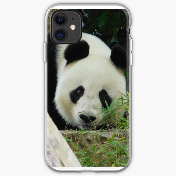Wang Wang the panda iPhone Soft Case