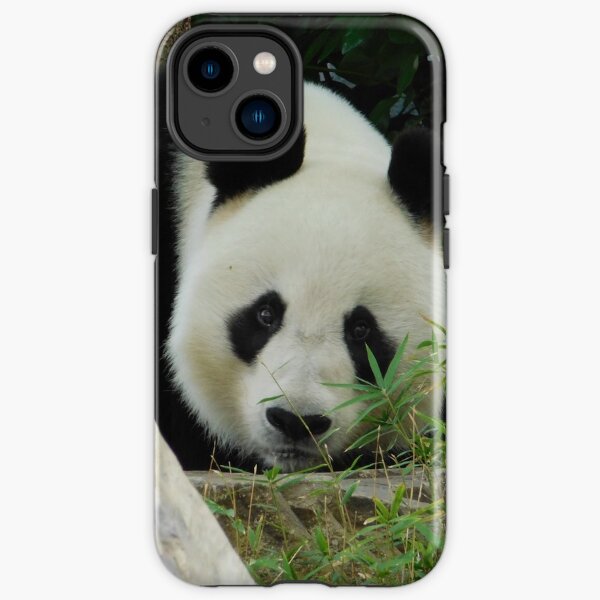 Wang Wang the panda iPhone Tough Case