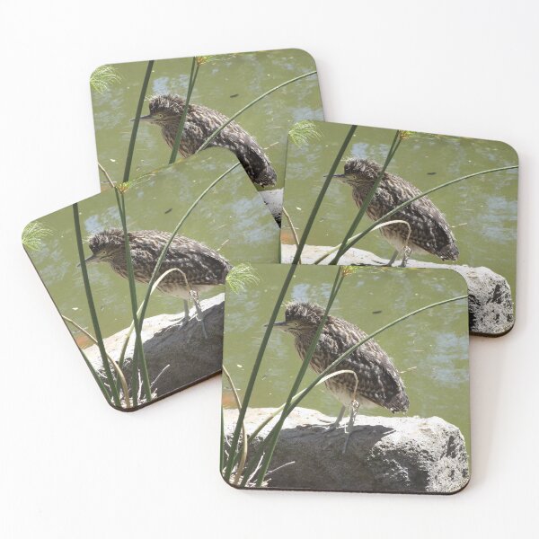 Item preview, Juvenile night heron designed and sold by greentiger1.