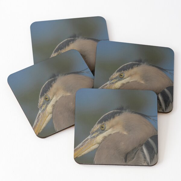Item preview, great blue heron in deep thought designed and sold by aim4adventure.