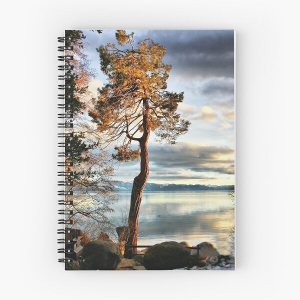 Item preview, Pine Aglow designed and sold by Barbara  Brown.