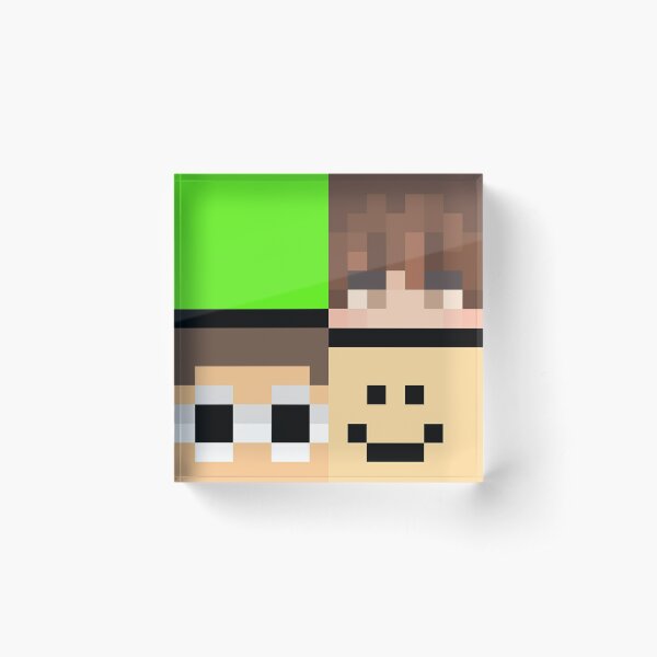 Minecraft Creeper Face PS4 Skin