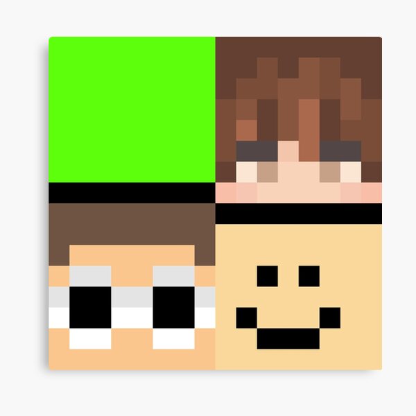 Minecraft Skins Canvas Prints Redbubble