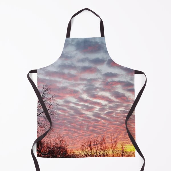 Item preview, Winter sunset panorama - Hoyt Park, Madison, WI designed and sold by rvjames.