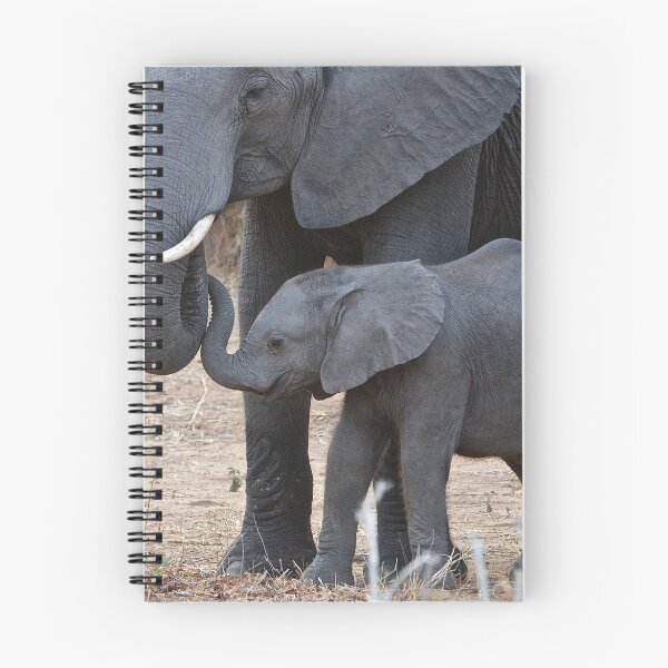 Item preview, Love & Trust - Mother & Baby African Elephants designed and sold by Jensphotos.