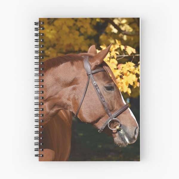 Item preview, Chestnut mare designed and sold by theartsyeq.