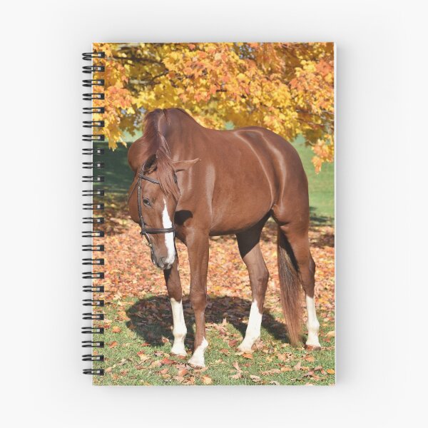 Item preview, Chestnut Mare designed and sold by theartsyeq.
