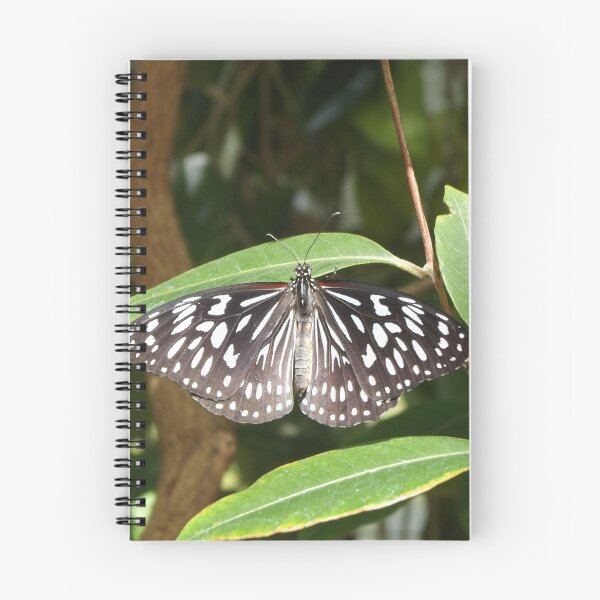 Artikelvorschau, Blauer Tigerschmetterling entworfen und verkauft von greentiger1.