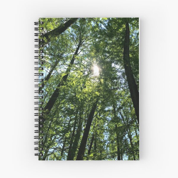 Item preview, A Look Up In The Forest  designed and sold by HandsoffMyWorks.