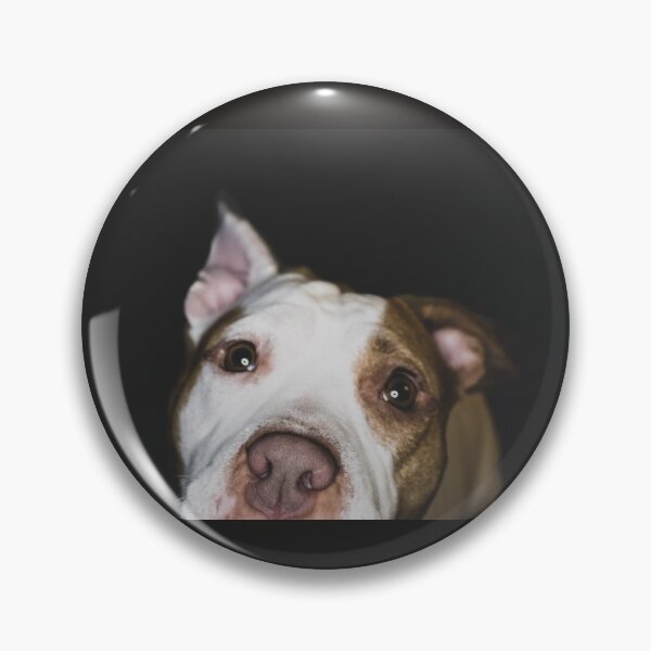 Artikelvorschau, Rote Nase Pitbull entworfen und verkauft von AllysiaAltck.