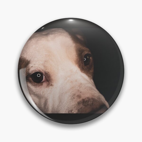 Artikelvorschau, Kopie von Red Nose Pitbull entworfen und verkauft von AllysiaAltck.