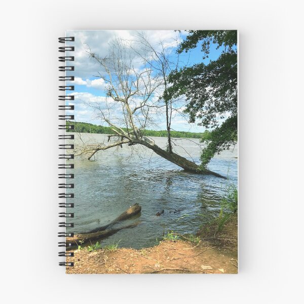 Item preview, Fallen Tree By The Shore designed and sold by HandsoffMyWorks.