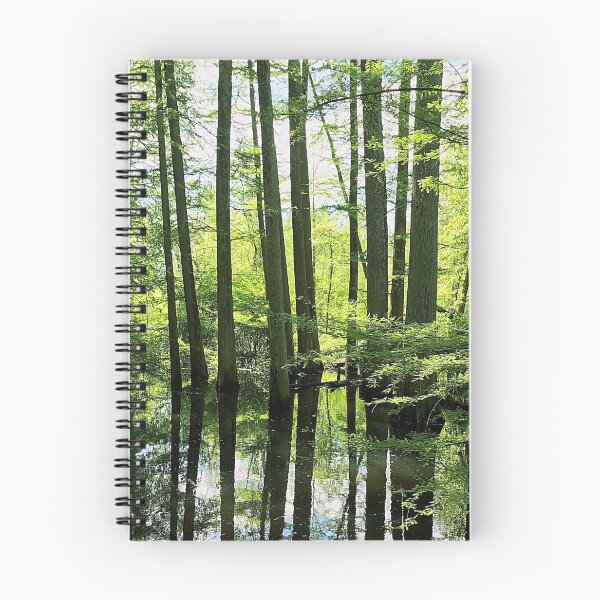 Item preview, A Walk Through The Forest Of Reflection designed and sold by HandsoffMyWorks.