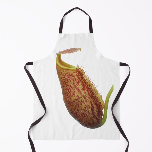 Item preview, Isolated tropical pitcher plant - Nepenthes lowii x (maxima x mira) designed and sold by Trent Townsend.