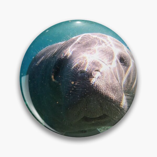 Item preview, Cute Galaxy Manatee designed and sold by niasadventures.