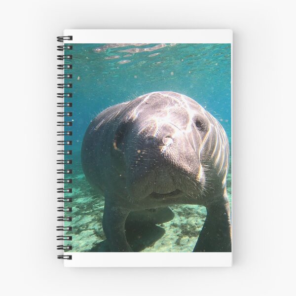 Item preview, Cute Galaxy Manatee designed and sold by niasadventures.