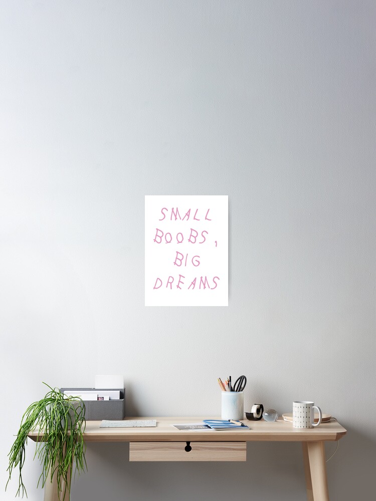 Small Boobs, Big Dreams - DRAKE Poster