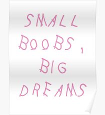 Small Boobs, Big Dreams - DRAKE Poster