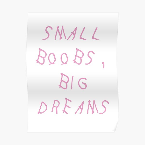 Small Boobs, Big Dreams - DRAKE Poster
