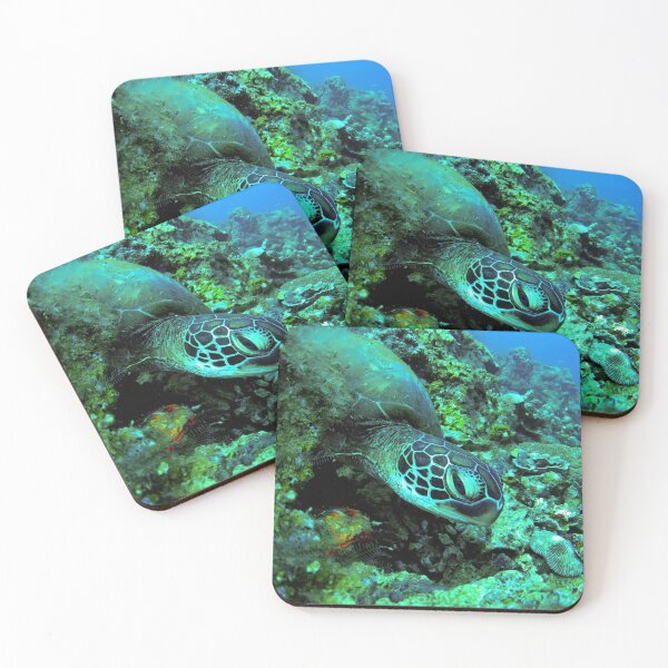 Item preview, A Green Sea Turtle designed and sold by likbatonboot.