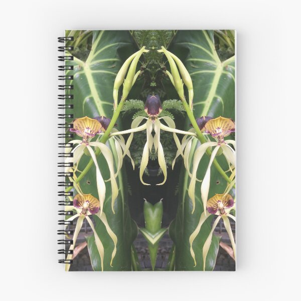 Artikelvorschau, Botanical Divine - Mächtige lila Orchideen in einem grünen Paradies entworfen und verkauft von RoseAromas.