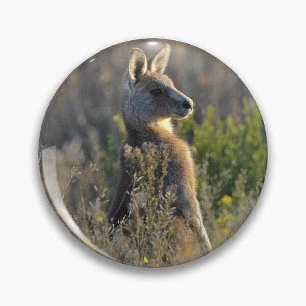 Item preview, Grey Kangaroo in long Australian Grass designed and sold by ArtbyBodge.