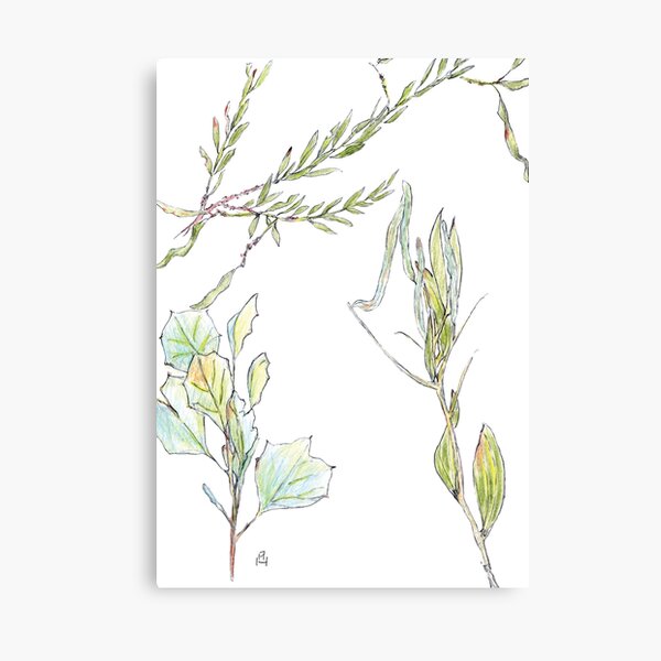 Australian Artwork - Leaves - Barkley, Highway, NT, Aus Canvas Print