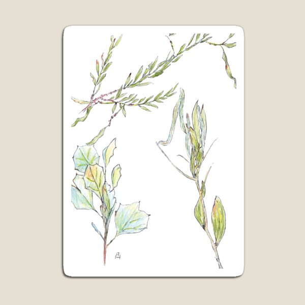 Australian Artwork - Leaves - Barkley, Highway, NT, Aus Magnet