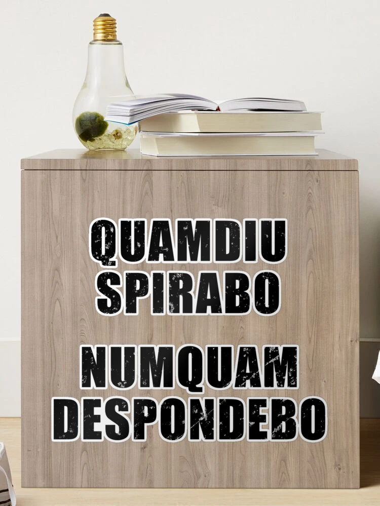 Quamdiu Spirabo Numquam Despondebo - Latin phrase meaning As Long As I  Breathe, I Will Never Quit | Mask