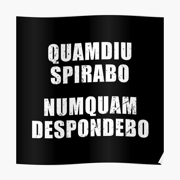 Poster Non Timebo Mala Expression Latine Signifiant Je Ne Craindrai Aucun Mal Par Be A Warrior Redbubble