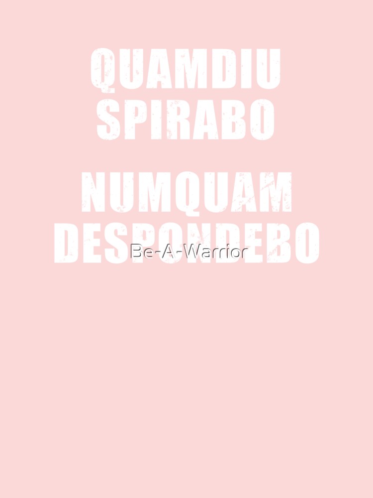 Quamdiu Spirabo Numquam Despondebo - Latin phrase meaning As Long As I  Breathe, I Will Never Quit | Mask