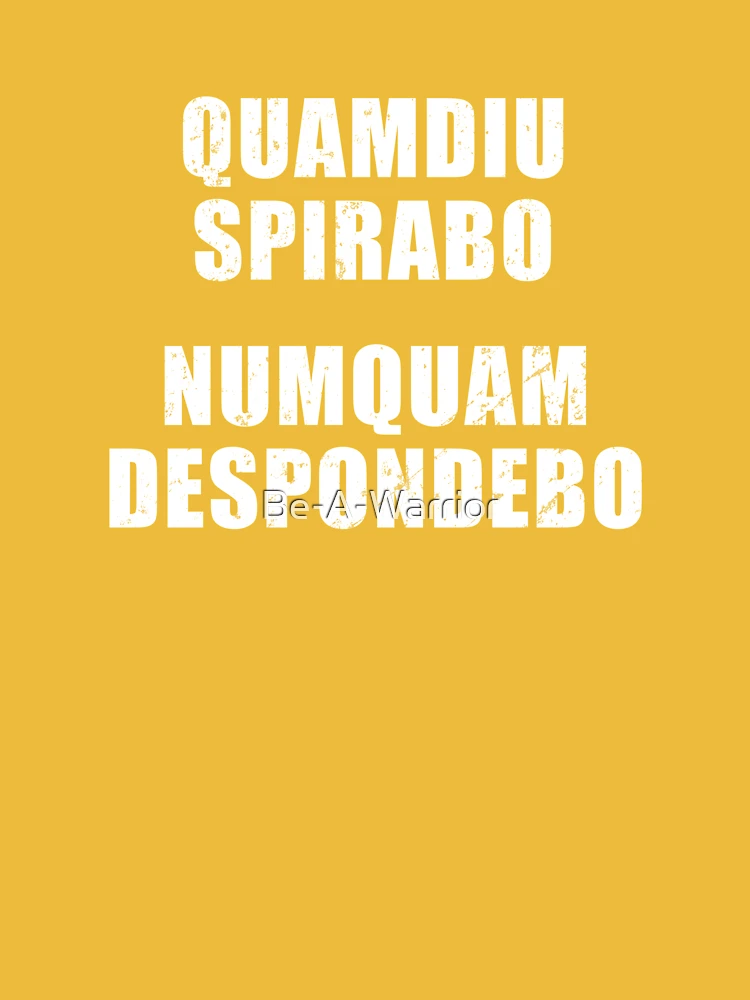 Quamdiu Spirabo Numquam Despondebo - Latin phrase meaning As Long As I  Breathe, I Will Never Quit | Mask