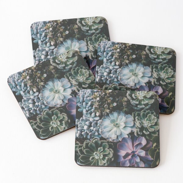 Artikelvorschau, Succulents - house plant - cactus plants entworfen und verkauft von Youandthenorth.