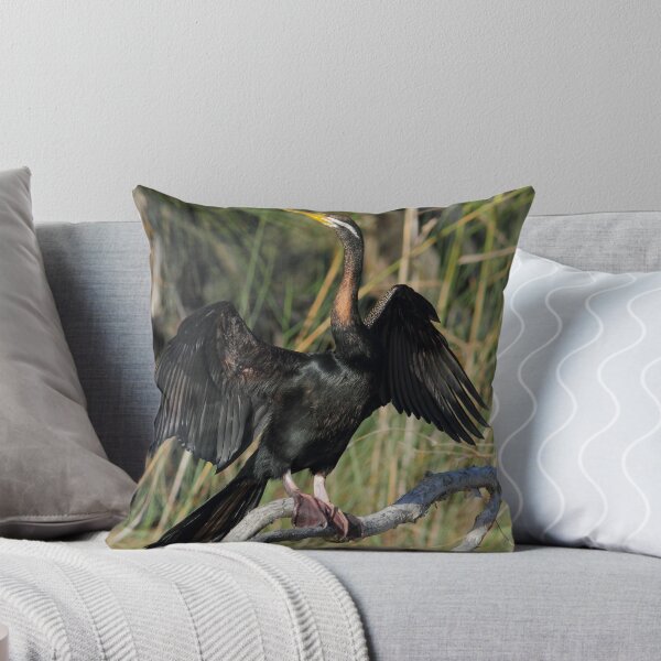 Item preview,  Australasian darter or Australian darter (Anhinga novaehollandiae) designed and sold by Trent Townsend.