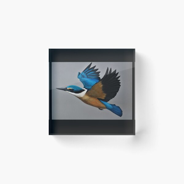 Item preview, Kingfisher in Flight designed and sold by artyone2.