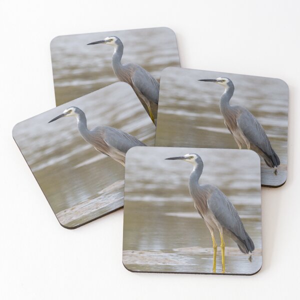 Item preview, White-faced Heron (Egretta novaehollandiae) designed and sold by Trent Townsend.