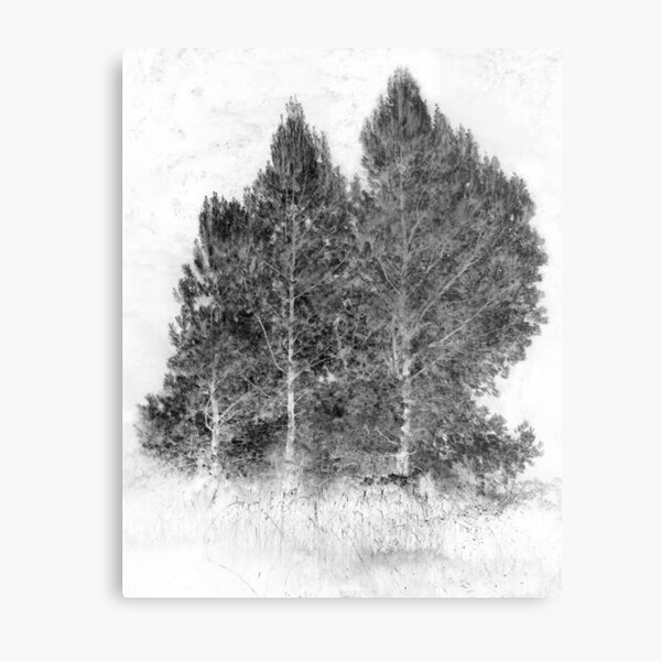 Metal Print