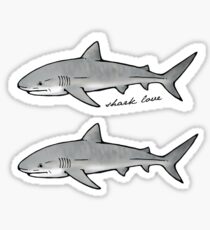 shark love Sticker