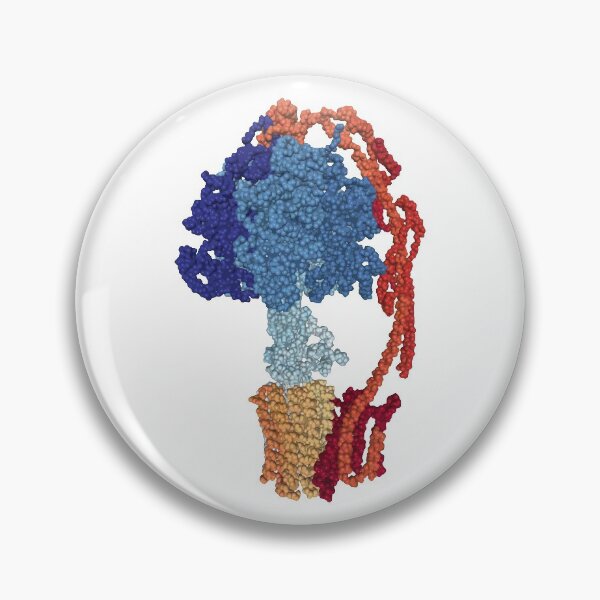 Item preview, ATP synthase (color) designed and sold by RosArt100.