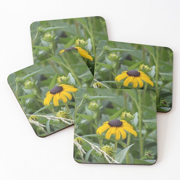 Aperçu de l'œuvre Fleur de Rudbeckia créée et vendue par greentiger1.