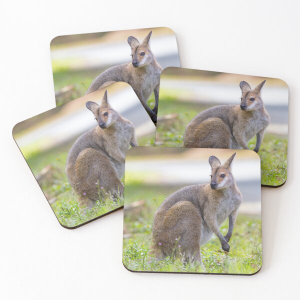 Item preview, Red-necked or Bennett's Wallaby (Macropus rufogriseus)  designed and sold by Trent Townsend.
