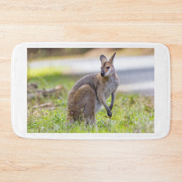 Item preview, Red-necked or Bennett's Wallaby (Macropus rufogriseus)  designed and sold by Trent Townsend.