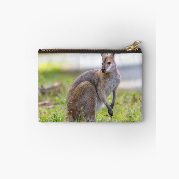 Item preview, Red-necked or Bennett's Wallaby (Macropus rufogriseus)  designed and sold by Trent Townsend.